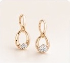 Shine Drop Earrings